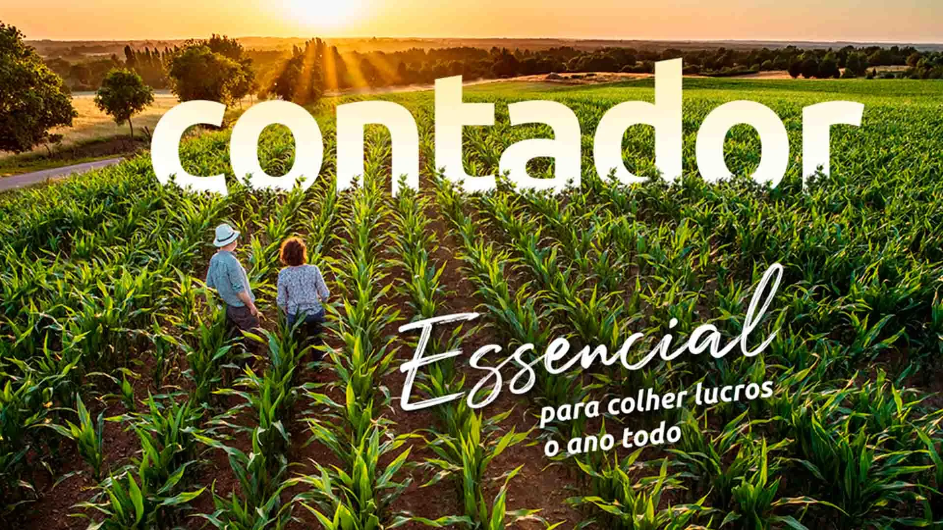 Escritório de Contabilidade para agronegócio em Petrolina - PE